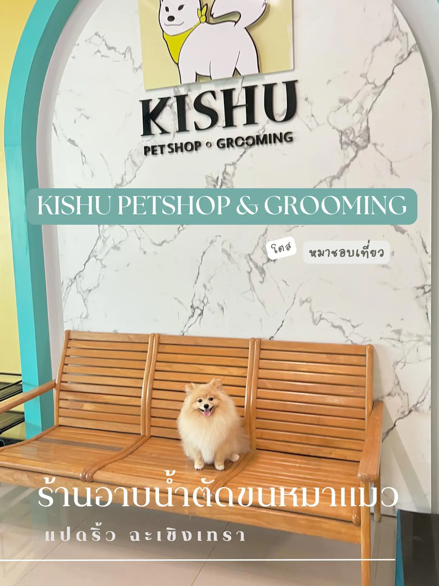 how do you groom kishu